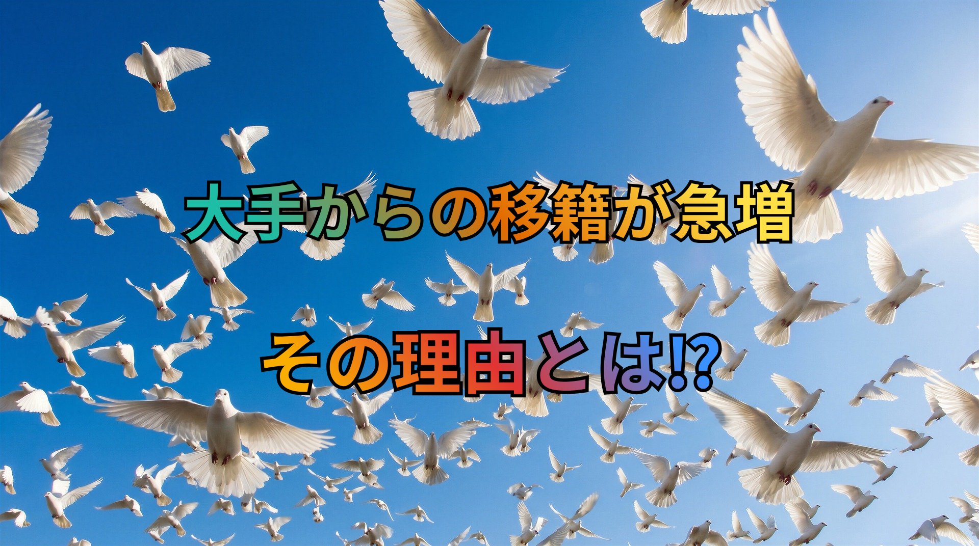 大手からの移籍が急増.png