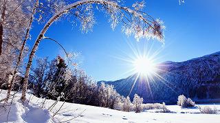 Winter-snow-mountains-and-trees-white-scenery-dazzling-sunshine_2560x1440.jpg