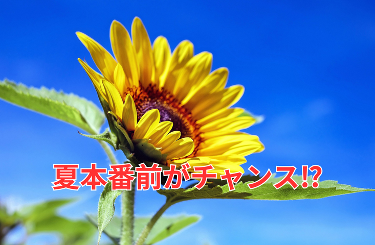 夏本番前に動く人が年内成婚する理由｜結婚相談所 名古屋 イメージ