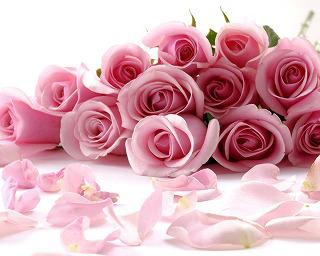 bouquet-flower-roses-petals-rose-1024x1280.jpg