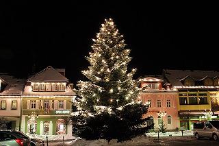 christmas-tree-587655_960_720.jpg