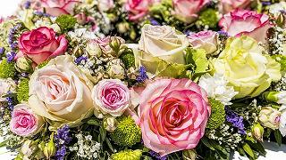 flowers-3441662__340.jpg