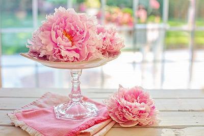 peonies-3468739__340.jpg