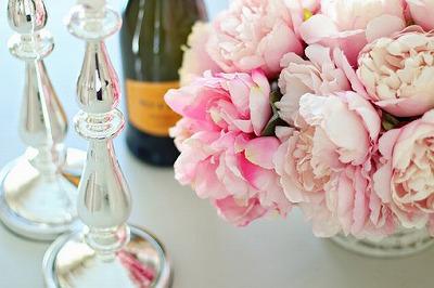 peonies-3483718__340.jpg